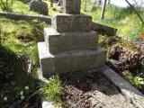 image of grave number 264893